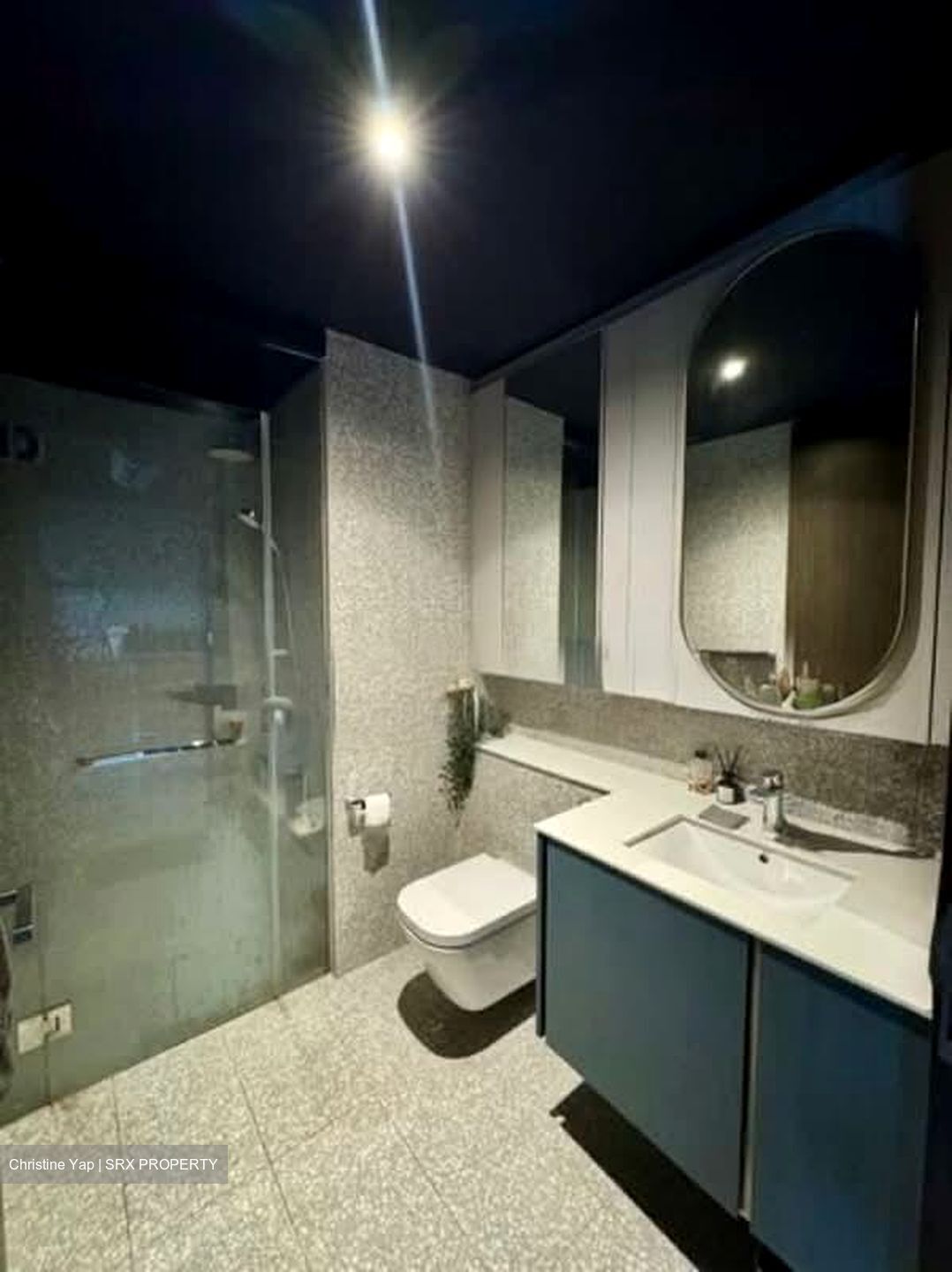 Clavon (D5), Apartment #557601441
